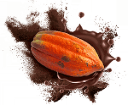FLORESTA RANGE