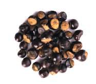 Seeds & herbs
